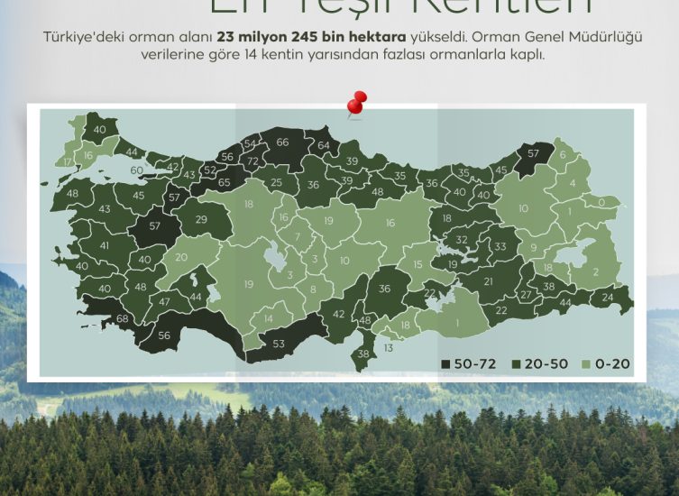 Ormanları en çok ne yakar? - Kapak Görseli