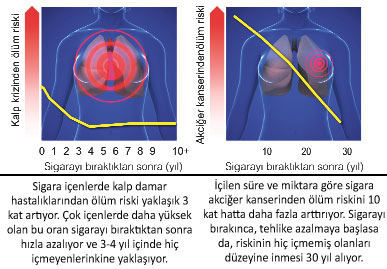 Yarım sigaranın etkisi ne kadar sürer? - Kapak Görseli